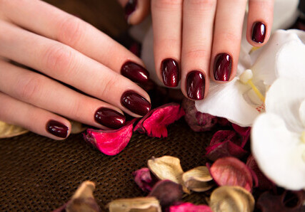 Beautiful classic red manicure on female hand. Close-up. Picture taken in the studio on the background of flowers